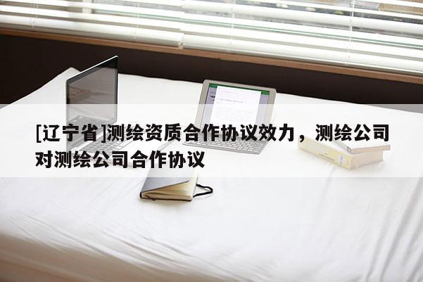 [辽宁省]测绘资质合作协议效力，测绘公司对测绘公司合作协议