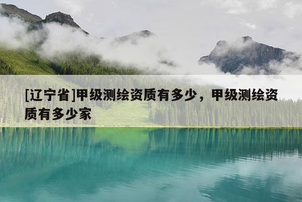 [辽宁省]甲级测绘资质有多少，甲级测绘资质有多少家