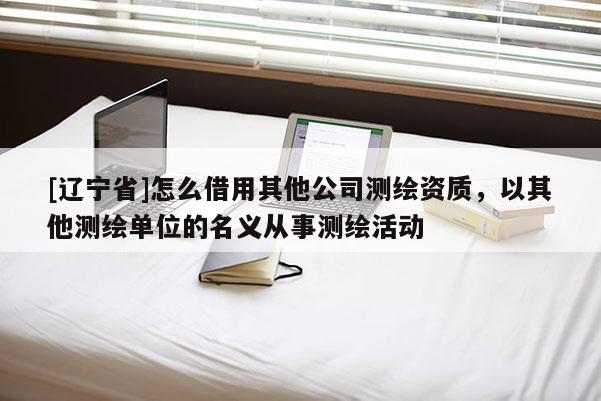 [辽宁省]怎么借用其他公司测绘资质，以其他测绘单位的名义从事测绘活动