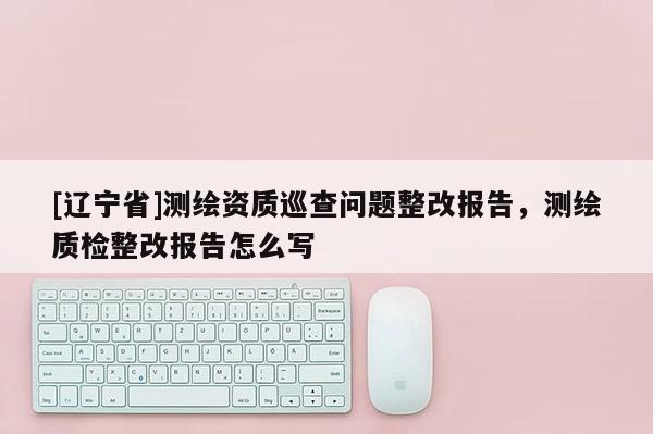 [辽宁省]测绘资质巡查问题整改报告，测绘质检整改报告怎么写