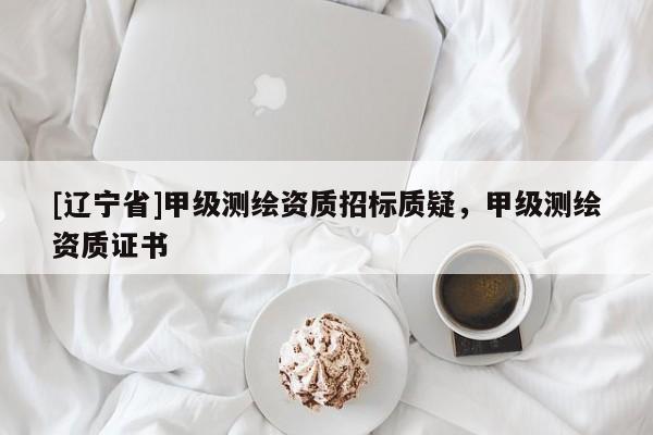 [辽宁省]甲级测绘资质招标质疑，甲级测绘资质证书
