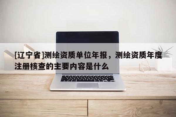 [辽宁省]测绘资质单位年报，测绘资质年度注册核查的主要内容是什么