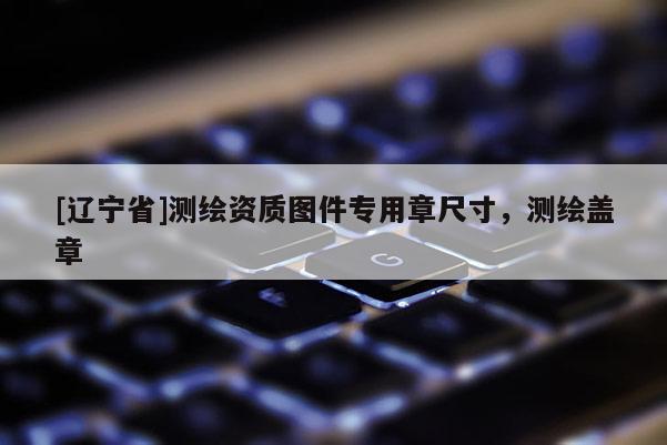 [辽宁省]测绘资质图件专用章尺寸，测绘盖章