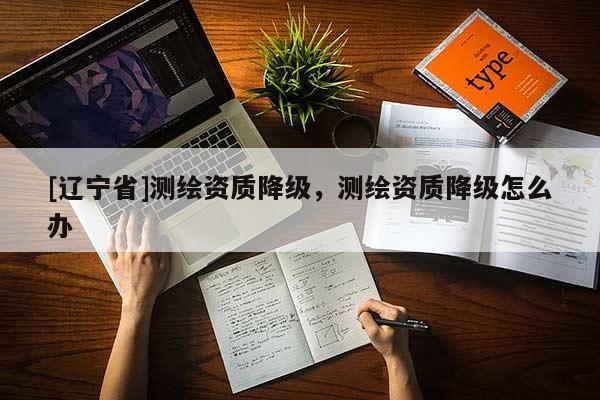 [辽宁省]测绘资质降级，测绘资质降级怎么办