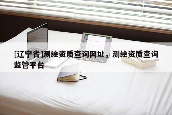 [辽宁省]测绘资质查询网址，测绘资质查询监管平台