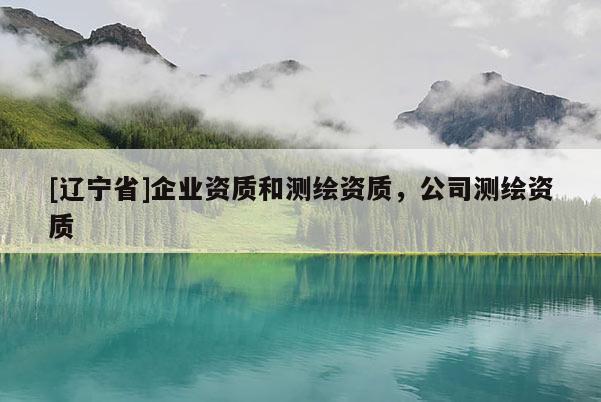 [辽宁省]企业资质和测绘资质，公司测绘资质