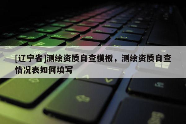 [辽宁省]测绘资质自查模板，测绘资质自查情况表如何填写