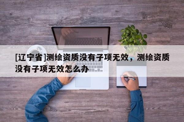 [辽宁省]测绘资质没有子项无效，测绘资质没有子项无效怎么办