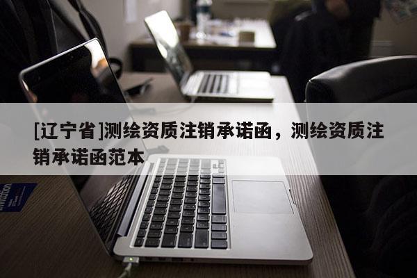 [辽宁省]测绘资质注销承诺函，测绘资质注销承诺函范本