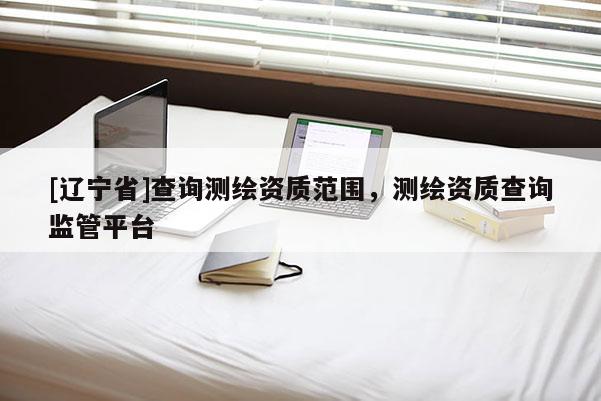 [辽宁省]查询测绘资质范围，测绘资质查询监管平台