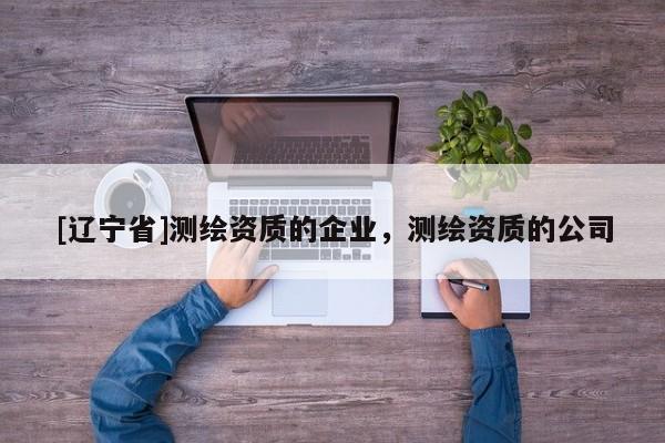 [辽宁省]测绘资质的企业，测绘资质的公司