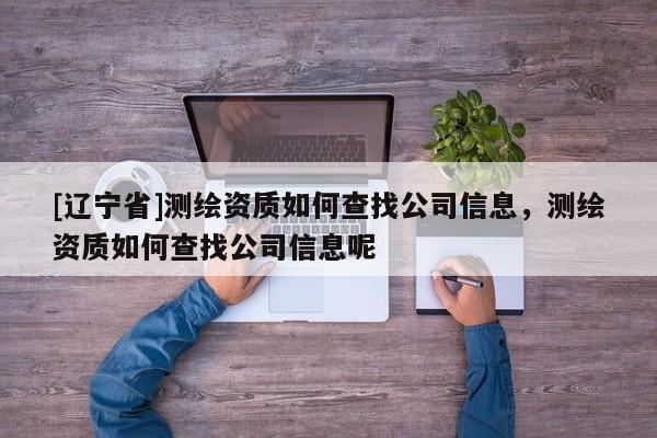 [辽宁省]测绘资质如何查找公司信息，测绘资质如何查找公司信息呢