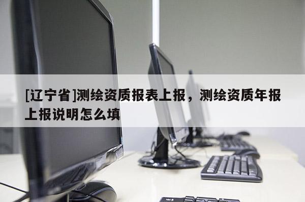 [辽宁省]测绘资质报表上报，测绘资质年报上报说明怎么填
