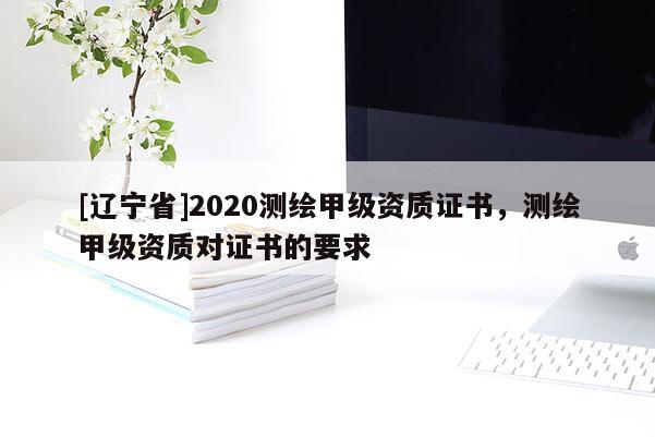 [辽宁省]2020测绘甲级资质证书，测绘甲级资质对证书的要求