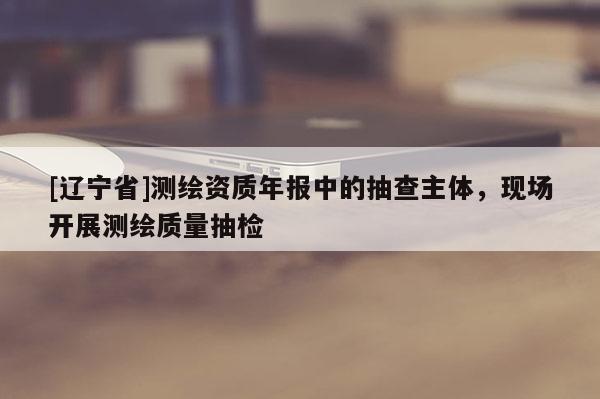[辽宁省]测绘资质年报中的抽查主体，现场开展测绘质量抽检