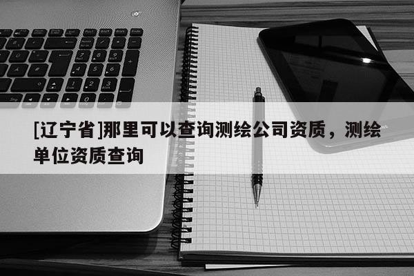 [辽宁省]那里可以查询测绘公司资质，测绘单位资质查询