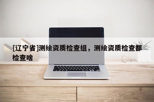[辽宁省]测绘资质检查组，测绘资质检查都检查啥
