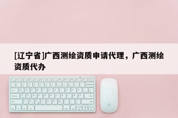 [辽宁省]广西测绘资质申请代理，广西测绘资质代办