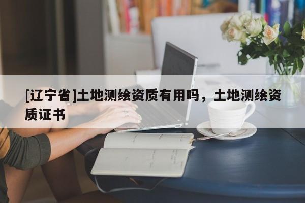 [辽宁省]土地测绘资质有用吗，土地测绘资质证书