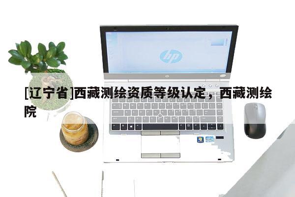 [辽宁省]西藏测绘资质等级认定，西藏测绘院