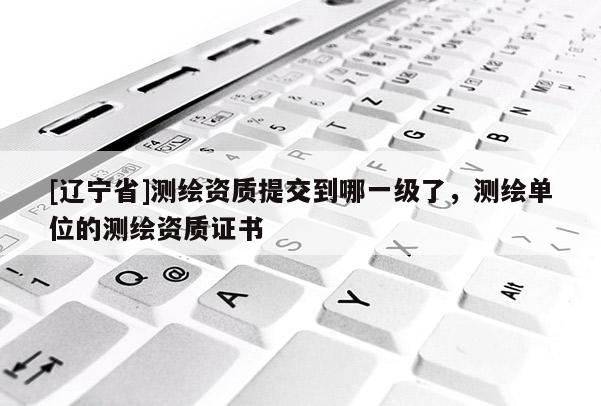 [辽宁省]测绘资质提交到哪一级了，测绘单位的测绘资质证书