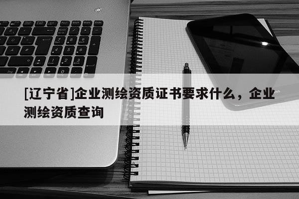 [辽宁省]企业测绘资质证书要求什么，企业测绘资质查询
