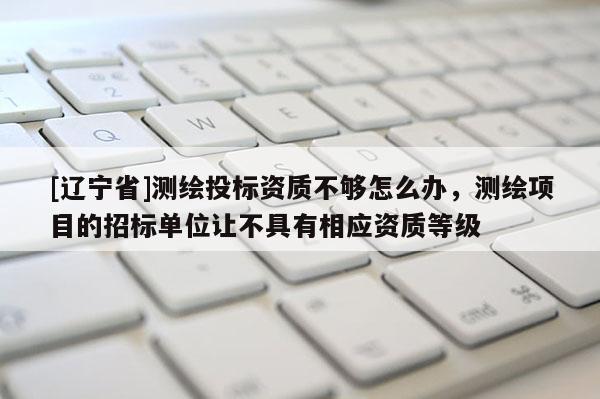 [辽宁省]测绘投标资质不够怎么办，测绘项目的招标单位让不具有相应资质等级