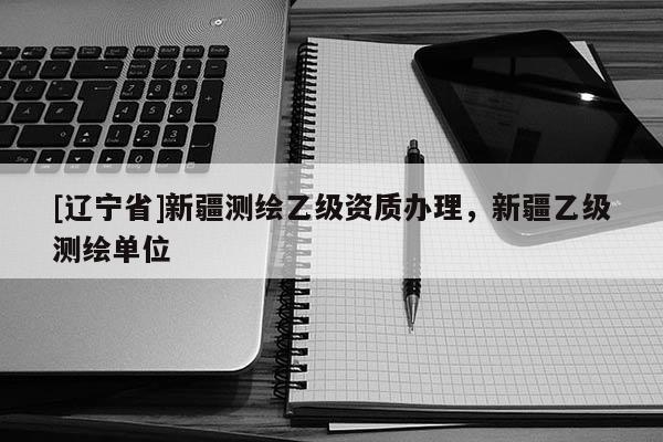 [辽宁省]新疆测绘乙级资质办理，新疆乙级测绘单位