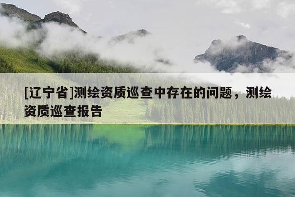 [辽宁省]测绘资质巡查中存在的问题，测绘资质巡查报告