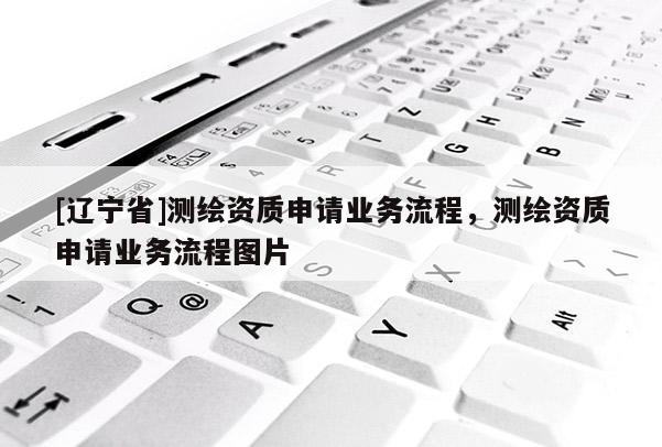 [辽宁省]测绘资质申请业务流程，测绘资质申请业务流程图片