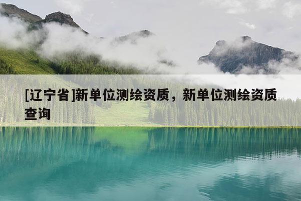 [辽宁省]新单位测绘资质，新单位测绘资质查询
