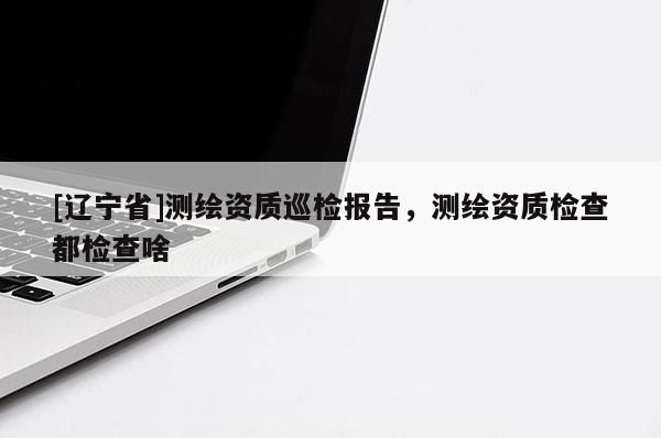 [辽宁省]测绘资质巡检报告，测绘资质检查都检查啥