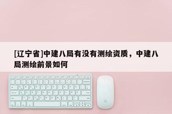 [辽宁省]中建八局有没有测绘资质，中建八局测绘前景如何