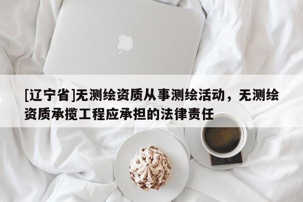 [辽宁省]无测绘资质从事测绘活动，无测绘资质承揽工程应承担的法律责任