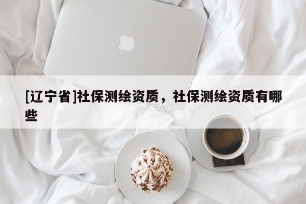 [辽宁省]社保测绘资质，社保测绘资质有哪些