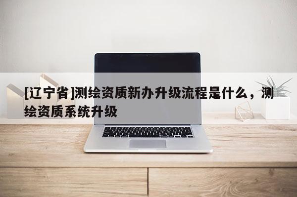 [辽宁省]测绘资质新办升级流程是什么，测绘资质系统升级