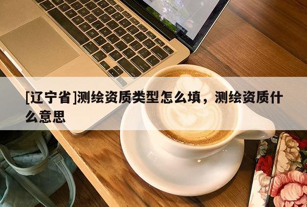 [辽宁省]测绘资质类型怎么填，测绘资质什么意思