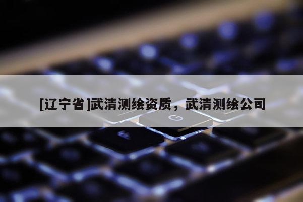 [辽宁省]武清测绘资质，武清测绘公司