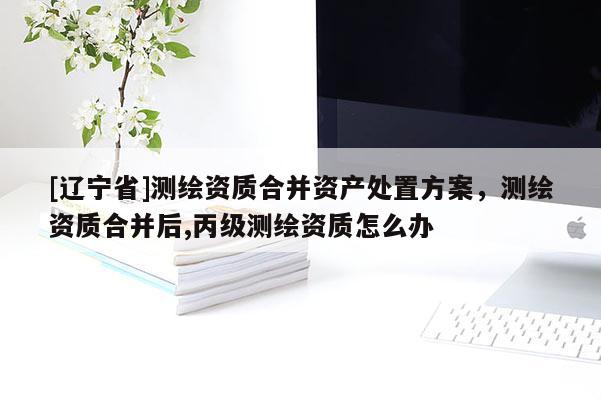 [辽宁省]测绘资质合并资产处置方案，测绘资质合并后,丙级测绘资质怎么办
