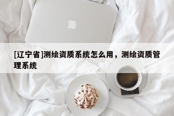 [辽宁省]测绘资质系统怎么用，测绘资质管理系统