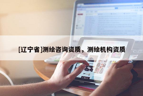 [辽宁省]测绘咨询资质，测绘机构资质