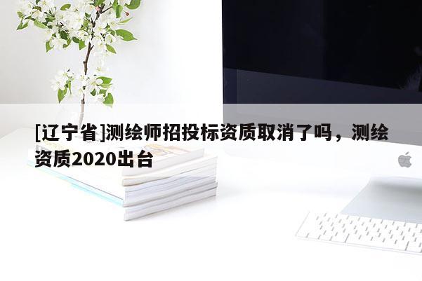 [辽宁省]测绘师招投标资质取消了吗，测绘资质2020出台