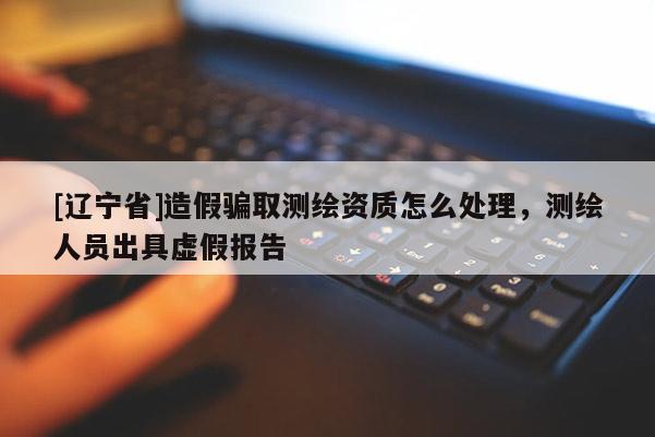 [辽宁省]造假骗取测绘资质怎么处理，测绘人员出具虚假报告