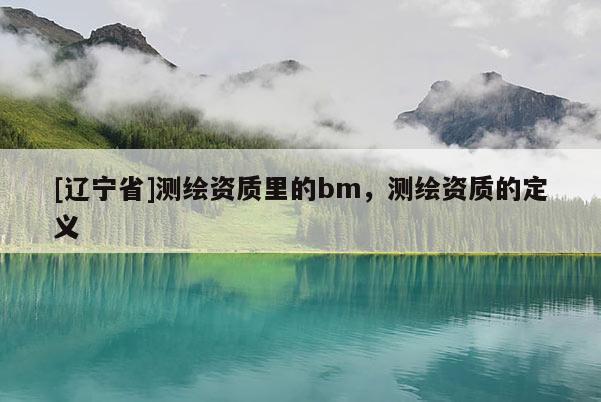 [辽宁省]测绘资质里的bm，测绘资质的定义
