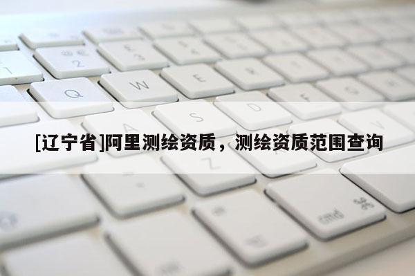 [辽宁省]阿里测绘资质，测绘资质范围查询