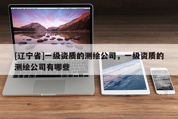 [辽宁省]一级资质的测绘公司，一级资质的测绘公司有哪些