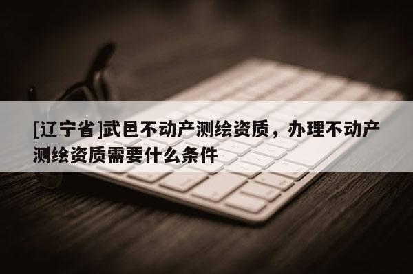 [辽宁省]武邑不动产测绘资质，办理不动产测绘资质需要什么条件