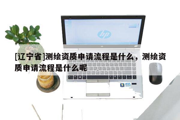 [辽宁省]测绘资质申请流程是什么，测绘资质申请流程是什么呢