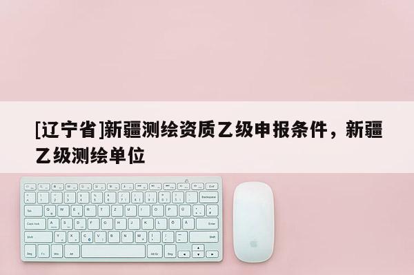 [辽宁省]新疆测绘资质乙级申报条件，新疆乙级测绘单位