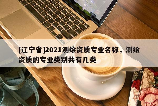 [辽宁省]2021测绘资质专业名称，测绘资质的专业类别共有几类